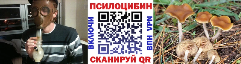 Псилоцибиновые грибы мицелий  Кольчугино 
